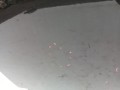 1bb0ac1d75038055fe5b9194209a375c