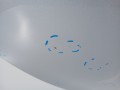 003453c586dba610b187ba11396689c6