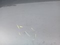 e972e4cae7bcdb616526ff8fd3aea9ed