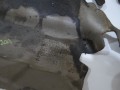 dd104612da4f4f408cfaec6a46967469