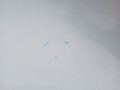 f55638776f2f974c8abbbb4b847a394e