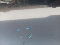 20f8bb4e40173868026dbecc7fc8fe55