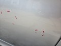 b0877eed0215168fdf5c5651ce5782cf