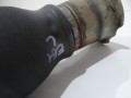 7d3e80099a07eb208632514b0e49ef87
