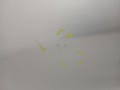 1501c18b88834bd765c406bb4e78d172