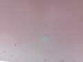 65924ff29079f2d13e288066fef1ecaa