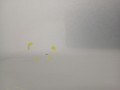 74012d3d7b0c3a67e0c655d2b945f78a