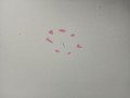 1ad6142c4865301d951603749056dd29