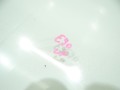 003ac13ea73ca64aac2d3de25fc7c1e6