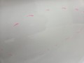 8f1e9b5d38ee7fbd25e8d09f4a5fe558