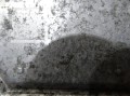 f59764e8dd9fe39a1e57c6e6d89dcaf6
