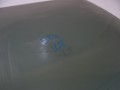 2bba7f789deac6ba8d7f01508512ceac
