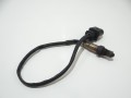 18f9406cc348afbc32cdb7de21e97db8