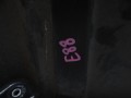 1ff4cb6b42c660a3af4cb6e46d9788ee