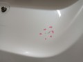c59835e504aabdb9396d8c52d4d036d8