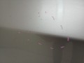 4d7eba0d21ea972cf486e6dd18d94062
