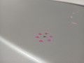 1e629414eb8b535e2de45426e0915282
