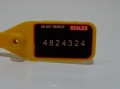 d8d257b4a50b6e1e8c1d61e95886c41f