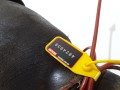 c9a5075cc45e858bac963fc21ee2758e